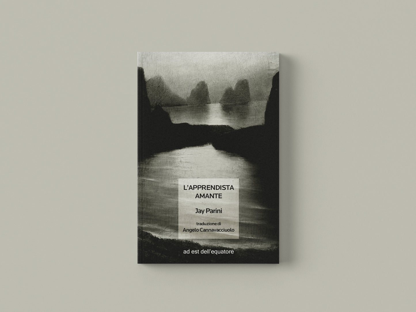 L'apprendista amante - Jay Parini