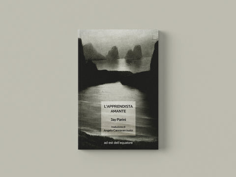 L'apprendista amante - Jay Parini