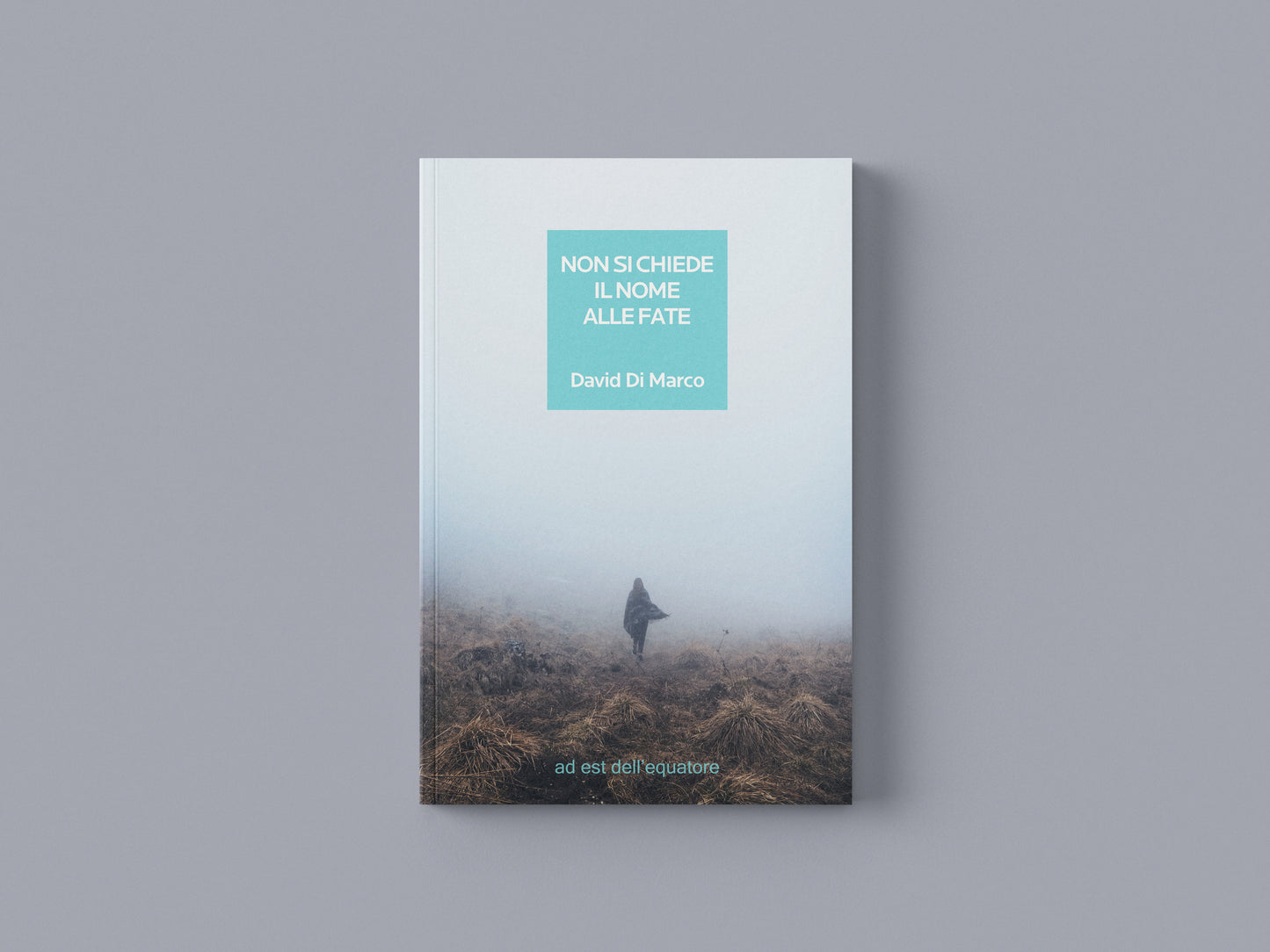 Non si chiede il nome alle fate - David Di Marco