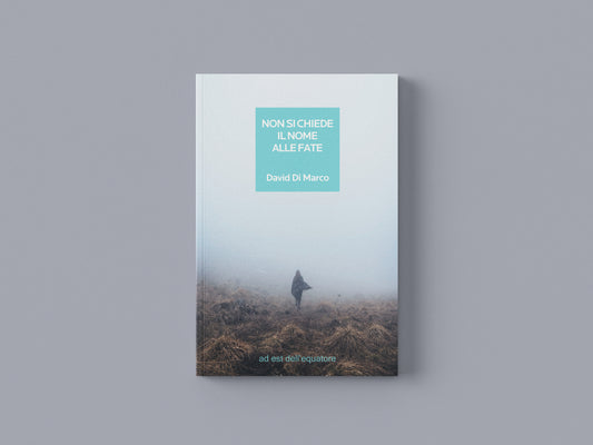 Non si chiede il nome alle fate - David Di Marco