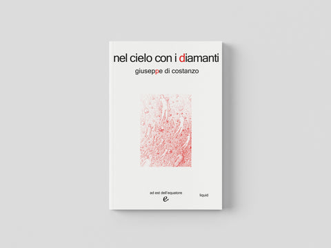 Nel cielo coi diamanti - Giuseppe Di Costanzo